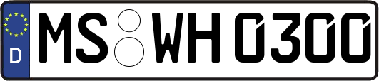 MS-WH0300