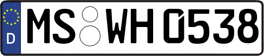 MS-WH0538