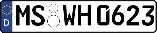 MS-WH0623