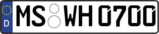 MS-WH0700