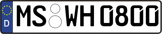 MS-WH0800
