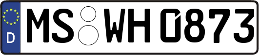 MS-WH0873