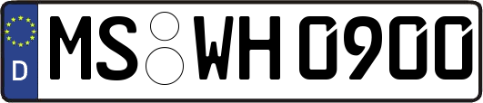 MS-WH0900