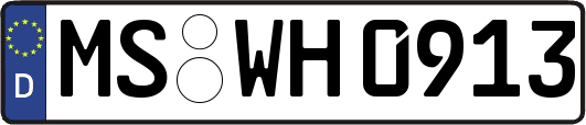 MS-WH0913