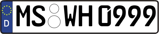 MS-WH0999