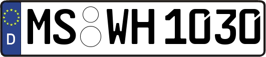 MS-WH1030