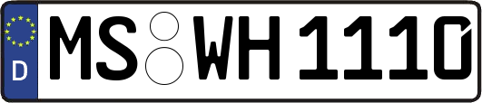 MS-WH1110