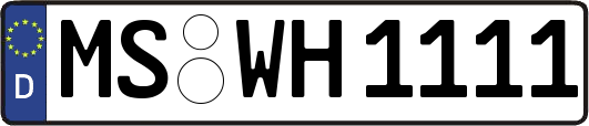 MS-WH1111