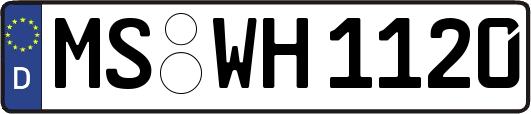 MS-WH1120