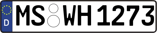 MS-WH1273