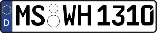 MS-WH1310