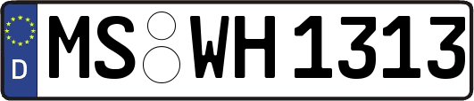 MS-WH1313