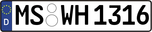 MS-WH1316
