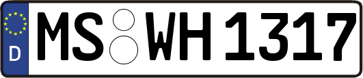 MS-WH1317