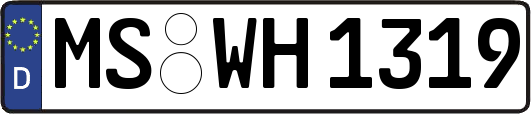 MS-WH1319