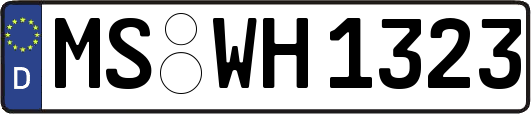 MS-WH1323