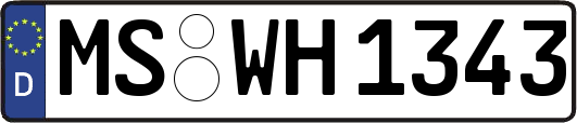 MS-WH1343