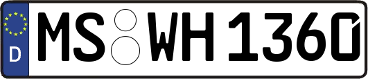 MS-WH1360