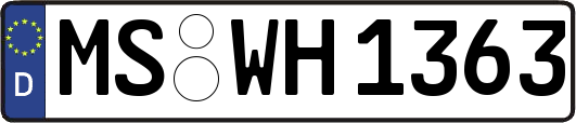 MS-WH1363
