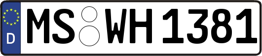 MS-WH1381