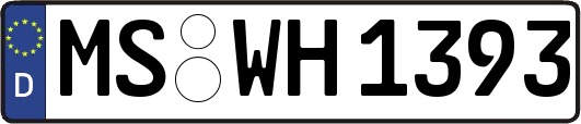 MS-WH1393