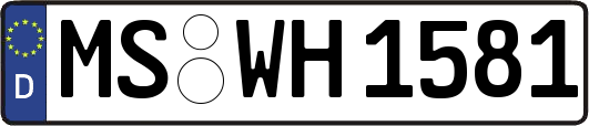 MS-WH1581