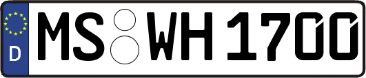 MS-WH1700