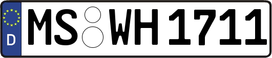 MS-WH1711