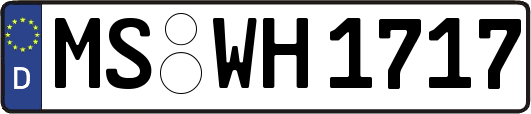 MS-WH1717