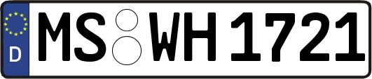 MS-WH1721