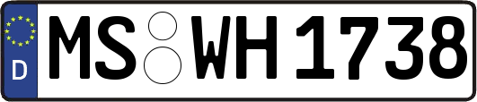 MS-WH1738