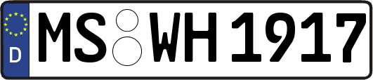 MS-WH1917
