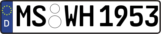 MS-WH1953