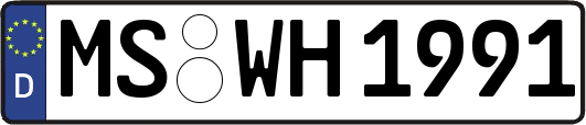 MS-WH1991