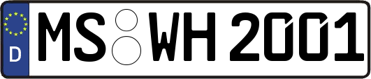 MS-WH2001