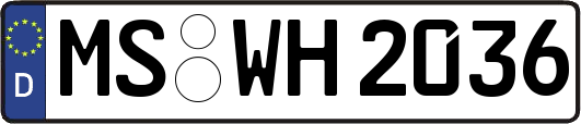 MS-WH2036