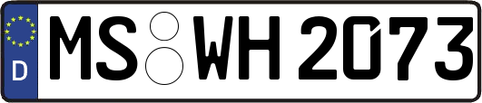 MS-WH2073