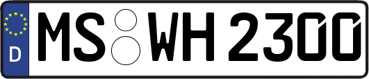 MS-WH2300