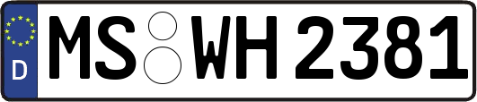 MS-WH2381