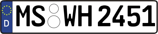 MS-WH2451
