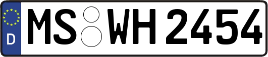 MS-WH2454