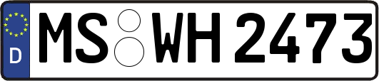 MS-WH2473