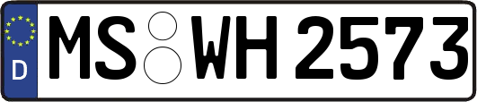 MS-WH2573