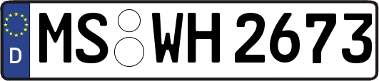 MS-WH2673