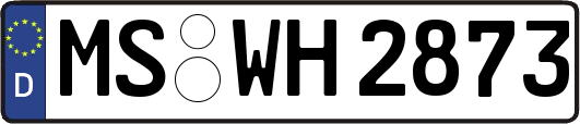 MS-WH2873