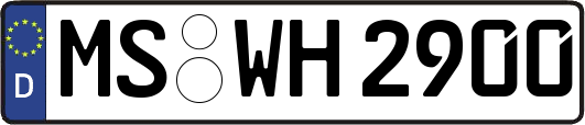 MS-WH2900