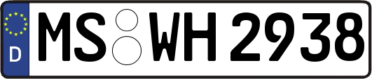 MS-WH2938