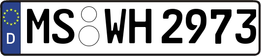 MS-WH2973