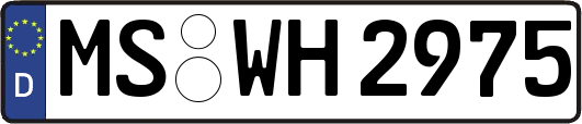 MS-WH2975