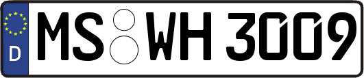 MS-WH3009